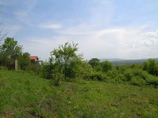 Primorsko Hill